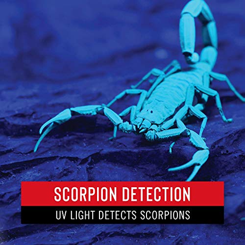 Coast Px300 150 Lumen, 400Nm Dual Color (White & Uv) Black Light Led Flashight, Batteries Included #TOP4