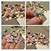 SUKPSY 100 Pcs Mini Multicolor Artificial Flower Heads 0.78 inch Fake Daisy Flower Head for DIY Wreaths Craft Scrapbooking Home Wedding Decoration (Mix Color)