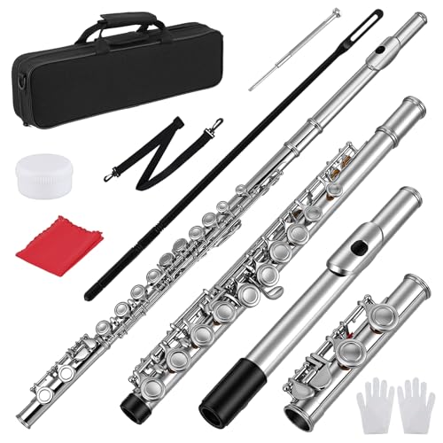 Closed Hole 16 Keys Flute Flute for Beginner Closed Hole Flute Instrument with Case Stand Gloves Cleaning Kit & Tuning Rod | Silver/Nickel Student Flute for Kids & Adults Complete Starter Set