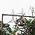 Thorise 8.3 Ft H x 4.6 Ft W Metal Pergola Arbor for Various Climbing Plant Wedding Garden Arch Bridal Party Decoration Wide Arbor