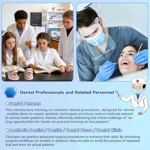 Image of 1 Pack Standard Teeth Model with 16 Dental Veneers,Prosthetic Bonding and Removal Model for Dental Aesthetics Training,Practice,Teaching
