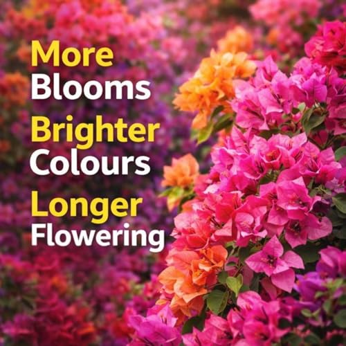Image of Indian Gardens - Bougainvillea Fertilizer for Plant | Bloom Booster for Vibrant Flowers | Slow Release Organic Nutrient | For Terrace & Outdoor Plants - 9800 Grams