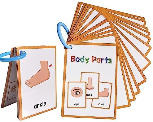Tarjetas didácticas de aprendizaje de partes del cuerpo, palabras de alta frecuencia, lectura inicial, jardín de infantes a 1er grado, materiales de