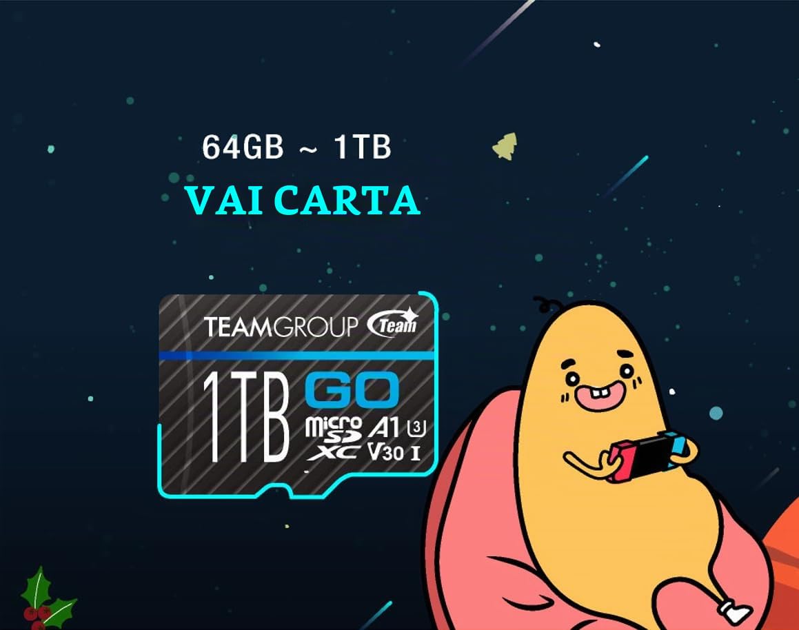 TEAMGROUP GO Card 256 GB Micro SDXC UHS-I U3 V30 4K per GoPro & Action Camera Scheda di memoria flash ad alta velocità con adattatore per attività all'aperto, sport, riprese 4K TGUSDX256GU303
