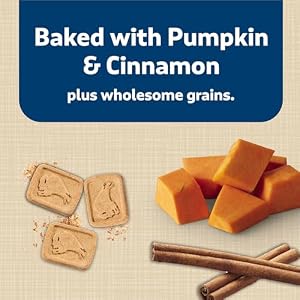 Blue Buffalo Health Bars Crunchy Dog Biscuits Oven Baked With Natural Ingredients Pumpkin Cinnamon 16 oz Bag