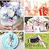 4 Rotoli Nastro In Organza Trasparente 2,5 Cm X 45 M - Per Regali E Bomboniere