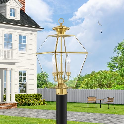 Image of Livex Lighting 2384-02 3-Light Light Fixture, Polished Brass | Traditional design