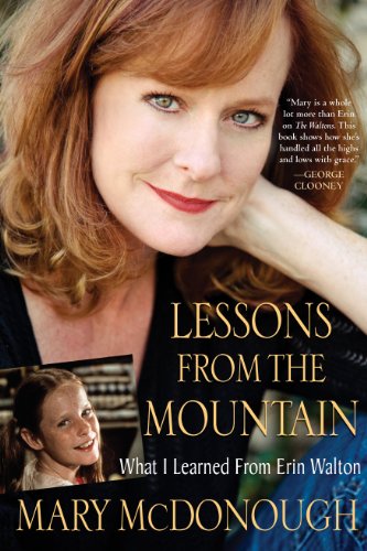 Lessons from the Mountain view 2