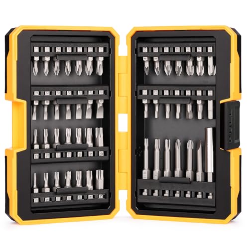 TGFTGF 49-Piece Screwdriver Bit Set, S2 Steel Magnetic Impact Duty Driver Bit Set, including Tamper Proof Torx Bit Set, Hex, Phillips, Slotted, PZ, with 1/4-inch Hex Shank, Exquisite Case