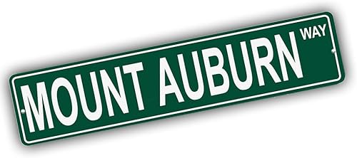 Vista 434 de Ohio Mountains Pick Your Mountain Compatible/repuesto para Ballards Hill United States Mountain Aluminio Metal Tin Street Sign Style decoración