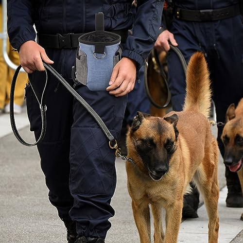 Ipetboom Dispensador De Saco De Cocô Para Cães Bolsa Para Treinamento De Cães Porta-Brinquedos Porta