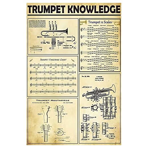 Letreros metálicos con información sobre trompeta, pósteres de trompeta de 12 escalas, decoración de habitaciones, infografías, decoración del hogar, decoración de pared para club, placa retro de 20