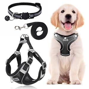 Dog Harness Medium Breathable Vest, Step-in Cat Puppy Collars and Lead Sets, Adjustable Dog Harness And Lead Set with Collar for Small Medium Pet Training or Walking Safety