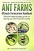 Ant Farms - The Ultimate Formicarium Handbook: Detailed Step-by-Step Guide to Setting Up a Thriving Ant Colony