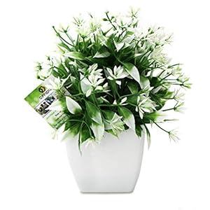 OFFIDIX Mini Fleurs artificielles de Plantes artificielles avec la Plante Artificielle en Plastique de Vase carré Blanc pour Le Bureau, décoration de la Maison