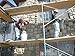 Masonry Grout Bag 12 X 24 Blu Tip