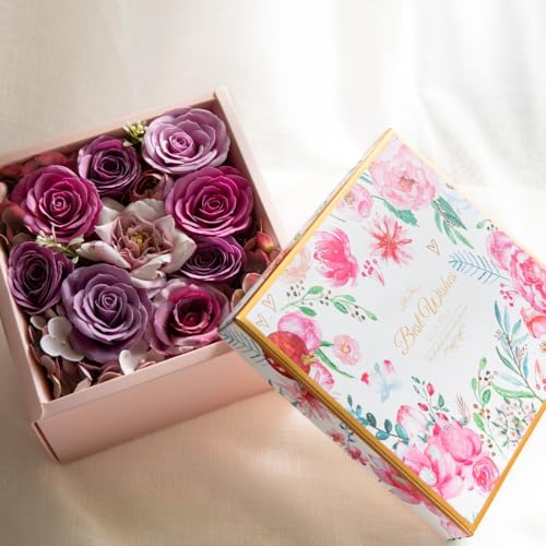 Bestwishes SoapBoxAW \[vt[ p[v BOX ̓ hV̓ NX}X a LO j v[g Mtg  җ ސE  蕨