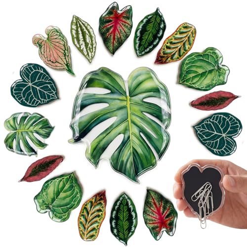 Imanes decorativos hoja para refrigerador 18 pzas