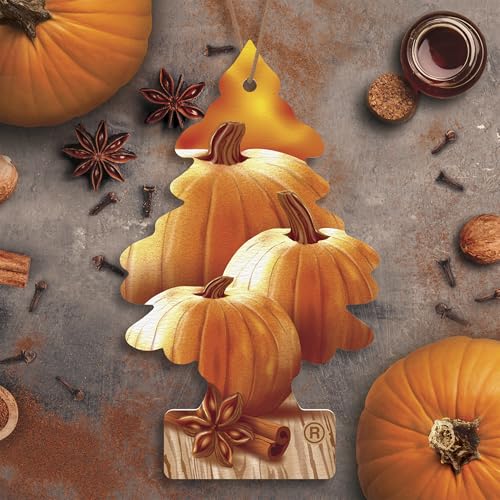 Image of LITTLE TREES Car Air Freshener | Hanging Tree Provides Long Lasting Scent for Auto and Home | Warm Pumpkin Spice, 24 Air Fresheners