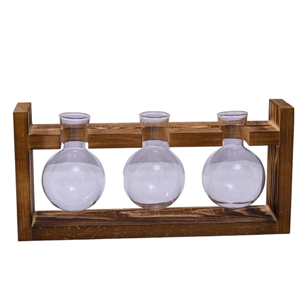 CTRLZS Indoor Garden Planter Glass Plant Terrarium 3 Bulbs Propagation Station with Wood Stand, Hydroponic Vase& Desktop Decor