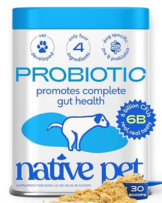 Native Pet Probiotics for Dogs – Dog Probiotic Powder for Gut & Digestive Health, Vet-Formulated 6B CFUs Dog-Specific Probiotic Strains, Supports Stool Quality & Diet Transitions – 30 Scoops