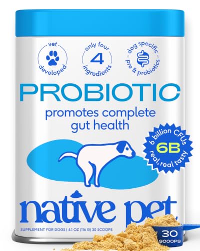 Native Pet Probiotics for Dogs – Dog Probiotic Powder for Gut & Digestive Health, Vet-Formulated 6B CFUs Dog-Specific Probiotic Strains, Supports Stool Quality & Diet Transitions – 30 Scoops