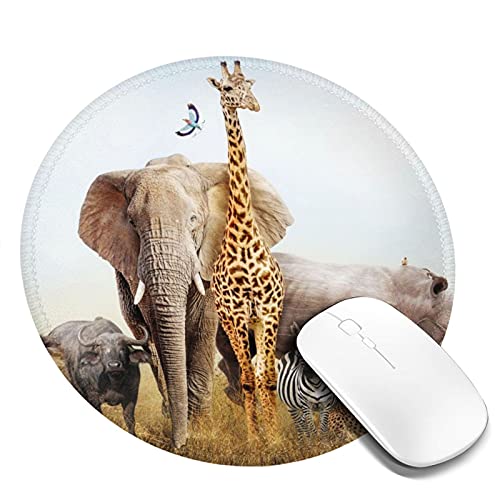 }EXpbh ی^ L Wt   h ~ S Q[~O}EXpbh m[gp\R PC Eh}EXpbh fXN}bg ϋvǂ ItBXp rWlXp ƒp Q[p ~` 20cm