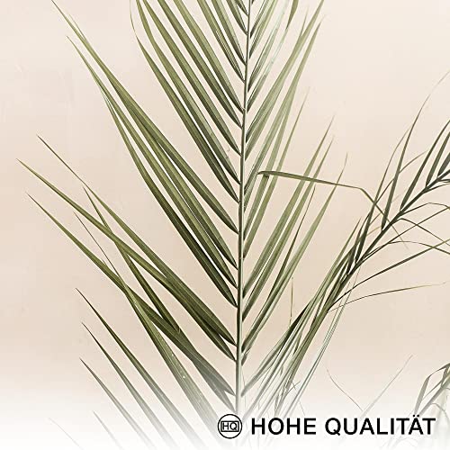 Novart Wandbilder Boho Pampasgras - KOMPLETT AUFHÄNGFERTIG - Beige Wohnzimmer Schlafzimmer - 7 Moderne Mood-Bilder - N005871a