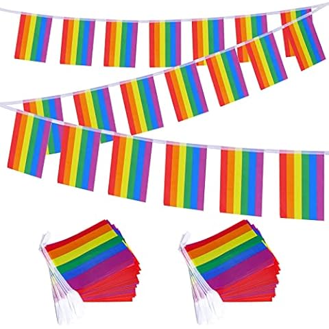 Jmkcoz 76 Pcs Flags Gay Pride Banner Rainbow LGBT Pride String Bunting Pennant Flags for LGBT Pride Parades Festival Party Decoration Mardi Gras Events Cover