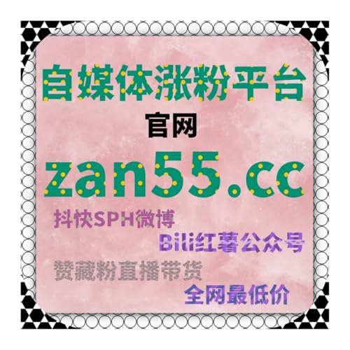 聚焦垂直领域精准发力 流量提升专业化布局 打造账号细分赛道领先优势