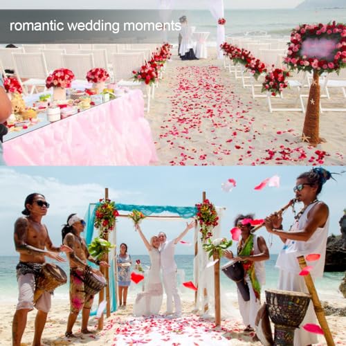 WRIRKN 1200 Pezzi Petali di Rosso Petali di Rosso