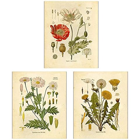 Dandelion 3 Piece Elegant Flowers Unframed Canvas Wall Art Painting,Hand-Painted Modern Nature Artwork Grey Plants Canvas Prints for Home Office Bedroom Living Room Wall Decor (Grey, 12" x 16") Cover