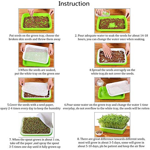 Seed Sprouter Tray Seed Germination Tray BPA Free Nursery Tray for Seedling Planting Suit for Garden Home Office (32cm25cm4.5cm-10pcs Without lid) - Thumbnail 3