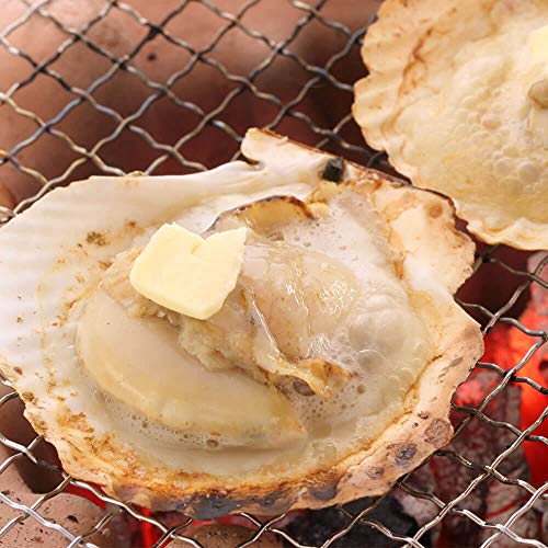 シーフード本舗 ホタテ片貝 20枚 殻付き 北海道産 BBQ 浜焼き 帆立 ほたて 片貝 貝柱 バーベキュー の商品画像 3