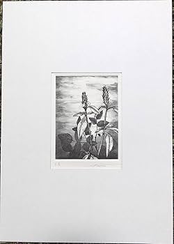 Amazon.co.jp: 渡辺達正 『草』 銅版画 直筆サイン入り モノタイプ Amazon.co.jp: 渡辺達正 『草』 銅版画 直筆サイン入り モノタイプ