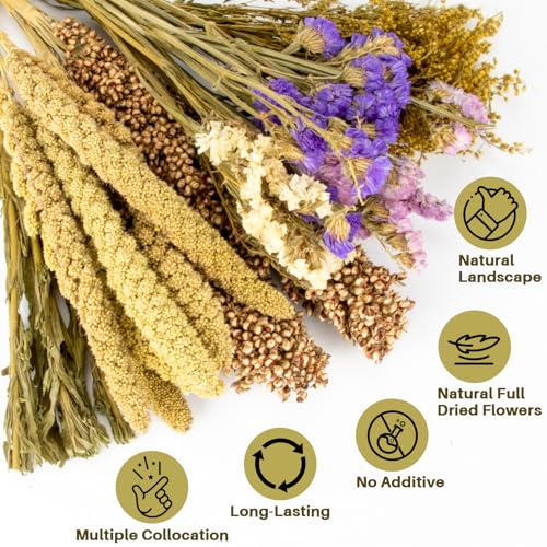 Sukh Natural Hamster Bedding Sprays - Foraging Habitat Decor Cage Accessories, Hideout Enrichment for Dwarf & Syrian Hamsters, Gerbils, Mice and Other Small Animals - Image 4