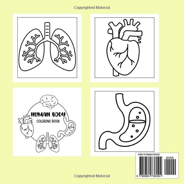 Human Body Bold and Easy Coloring Book: Simple and Big Anatomy Illustrations to Color for Kids, Seniors and Beginners - Image 2