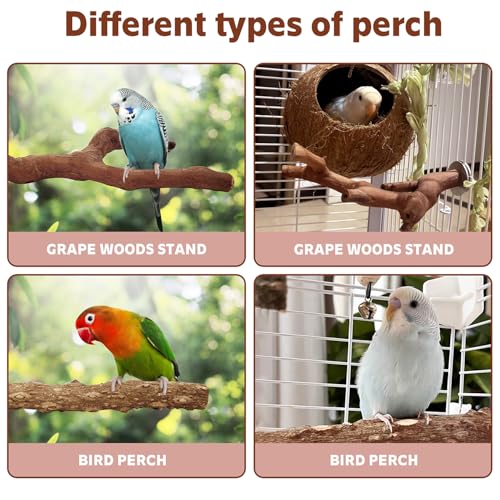 Image of 4PCS Bird Perch Natural Wooden Parrot Stand, 2 Grape Wood Perch, 2 Stand, Paw Grinding Fork Parakeet Chewing Stick Exercise Training Branches for Cockatiels, Small Birds