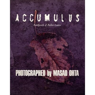 Accumulus