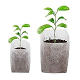 Aumente la tasa de supervivencia: las plántulas se pueden trasplantar directamente a otro pedazo de tierra sin tener que sacar la planta de la bolsa. Las bolsas de tela no tejida ayudan a proteger el suelo original y protegen las raíces de las plántulas del desgarro, ¡aumentando así en gran medida su tasa de supervivencia!