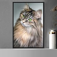 Framed Canvas Wall Art Cat Animals Cat Chic Multicolor Photography Urban - 16x24 inches