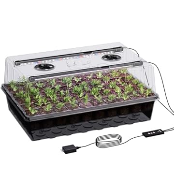 best indoor seed starting kit