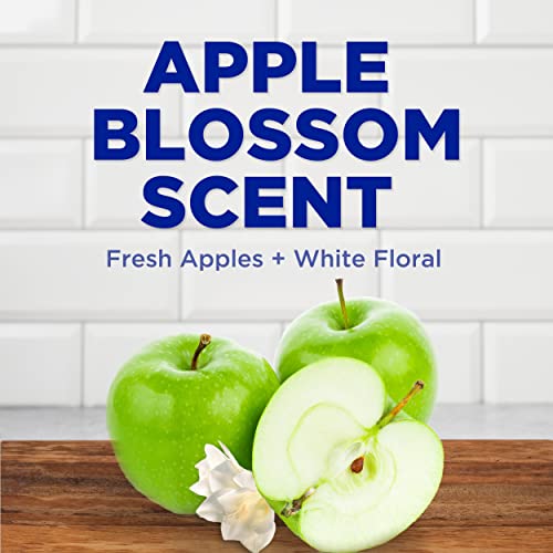 Image of Dawn Dish Soap, Antibacterial Hand Soap, Dishwashing Liquid, Apple Blossom Scent,19.4 Oz, Pack Of 4 + 2 Sponges