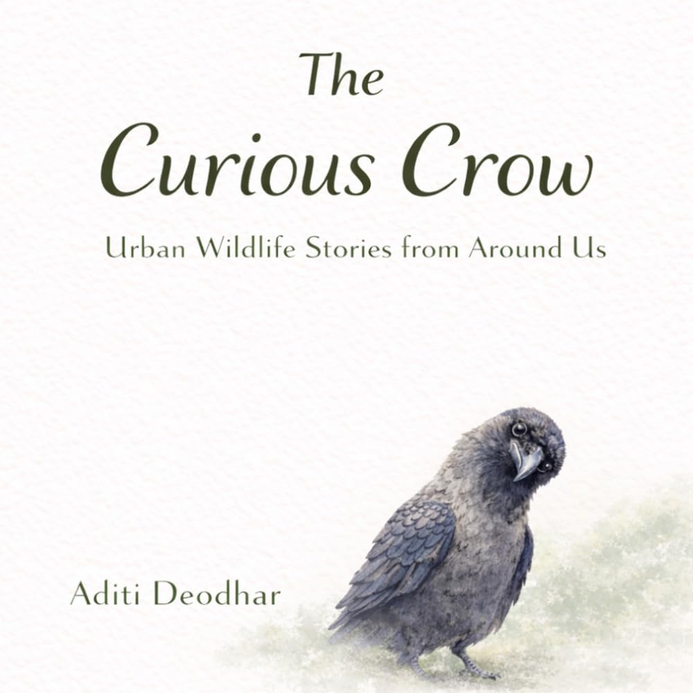 The Curious Crow: Urban Wildlife Stories from Around Us (Wildlife Around Us)