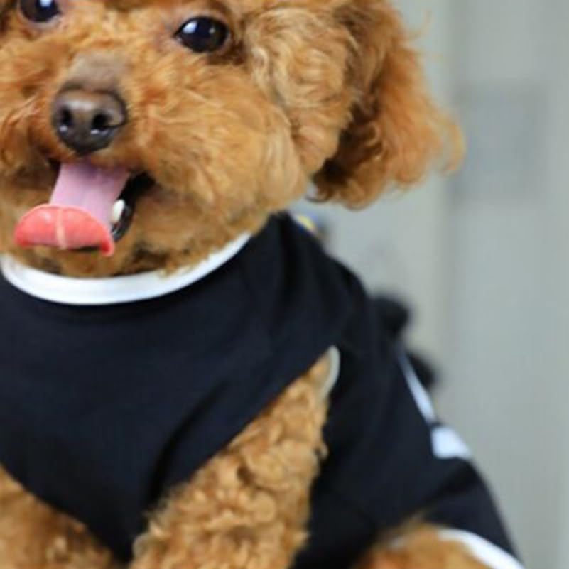INOOMP Dog Vest Comfortable Pet Clothes Lightweight Sleeveless Tunic with Heart Footprint Pattern for Small Dogs Spring Summer Outdoor Activities - Image 4