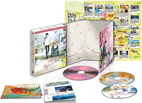 Josee, el Tigre y los Peces   Edición Coleccionista [Blu ray]