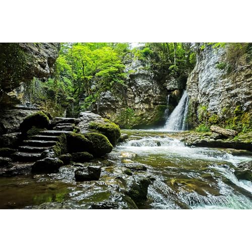 Waterfall Aquarium Background Rainforest Tropical Forest Dreamlike Natural Landscape Fish Tank Background Cascading Waterfall Tranquil Stream Reptile Tank Enclosure Backgrounds Wallpaper 48x18in