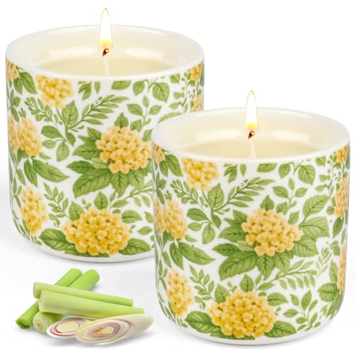 Bougie Citronnelle 2 Pièces, 240h Combustion Grosse Bougie Parfumée Citronnelle, Bougie en Cire de Soja 100% Naturelle pour Jardin, Piscine, Camping,...
