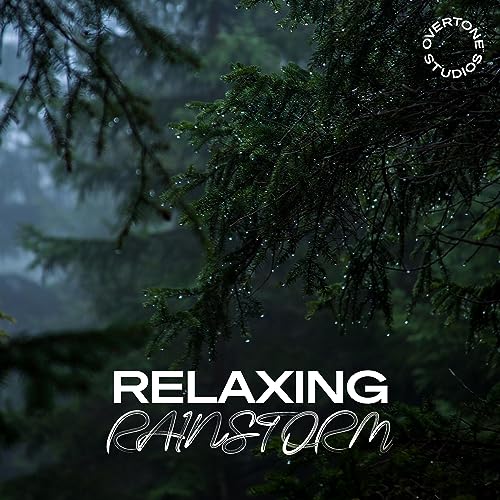 Page de couverture de 😴 Relaxing Rainstorm 🌧️