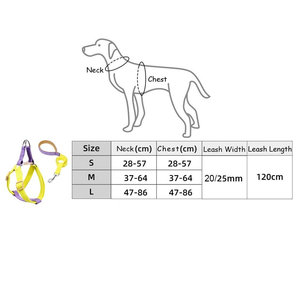 Arnés for Perros y Gatos con Correa, arnés for pequeños, de Nailon antitirones, Juego Collar GL(B,S)
